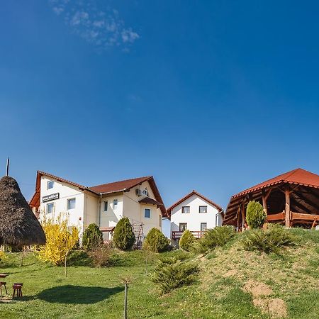 Pensiunea Faur Sebeş Exterior foto