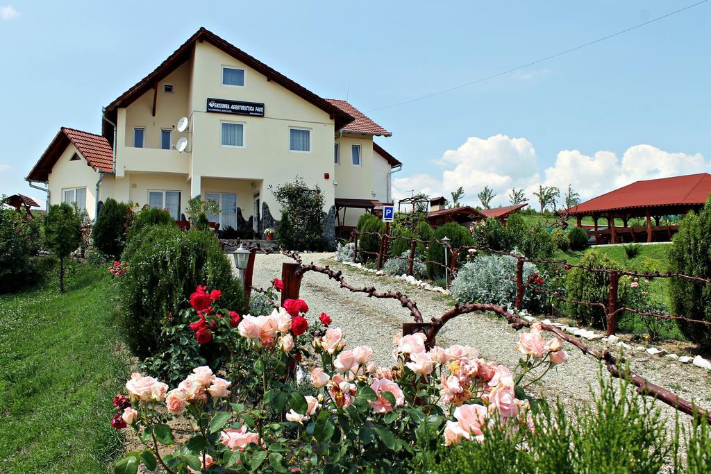Pensiunea Faur Sebeş Exterior foto